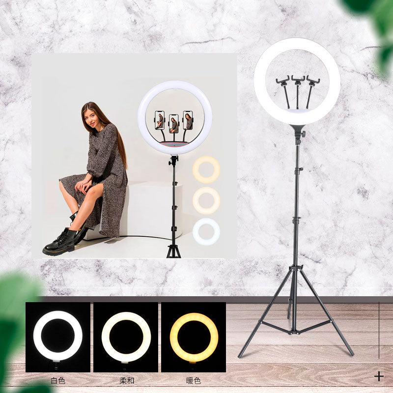 Tik Tok Aro De Luz 10 Pulgadas Con Tripie Precio Aro De Luz