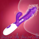 Consolador Dildo Vibrador Recargable Juguete Sexual