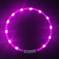 Collar LED para Mascotas
